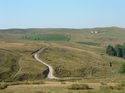 Lonely Road