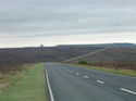 Lonely Roads