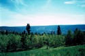 Valley Views